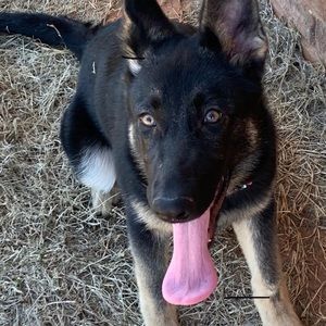 Meet your Posher, Mckenzie